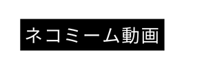 ネコミーム動画